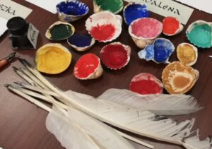 shells and feathers